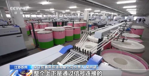 发展新质生产力 一线观察丨 万物皆可织 经纬之间如何纺织出环保底色