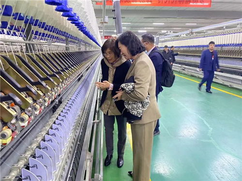 梦桃精神 60载,中国 咸阳 纺织服装产业协作发展大会共绘产业新蓝图