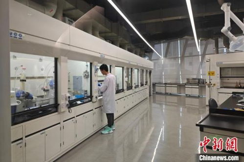 福建晋江 闽派 男装奏出绿色与创新的交响乐