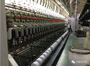 成丰纺织 新品推荐1 14nm牛绒纱