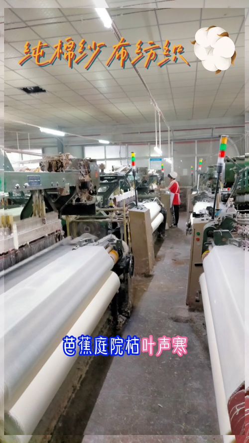 纯棉纱布面料纺织工,干不够接着干