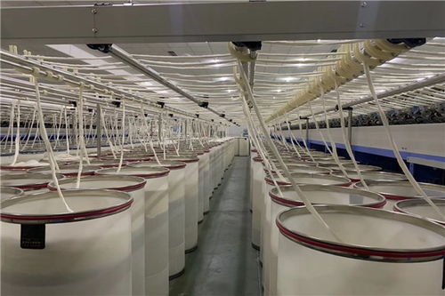 平邑薄荷40 jc60工厂潍坊泽宇纺织
