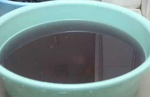 新买的衣服,洗还是不洗?纺织专家的建议你不能忽视