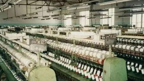 年入7800亿，范红卫如何以纺织业撑起中国女首富宝座