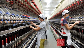天源纺织车间 繁忙中的匠心与活力